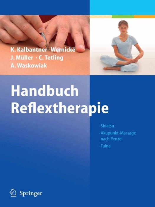 Handbuch Reflextherapie