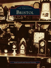 Book's Cover of Bristol