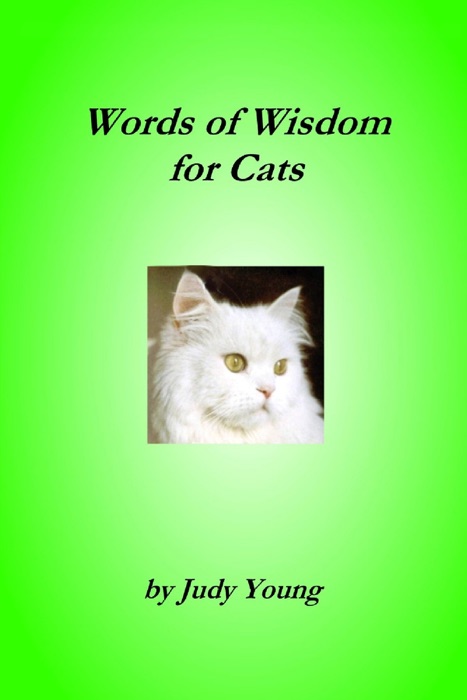 Words of Wisdom for Cats