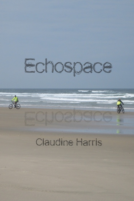 Echospace