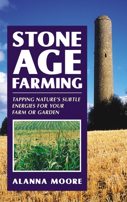 Stone Age Farming