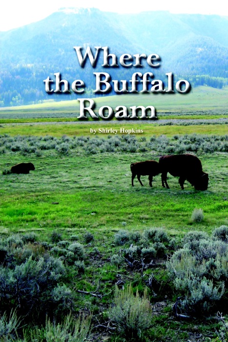 Where the Buffalo Roam