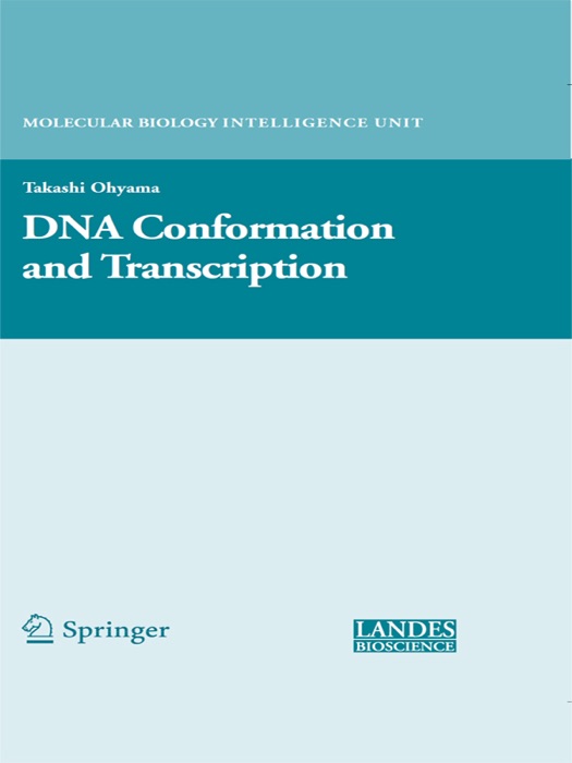 DNA Conformation and Transcription