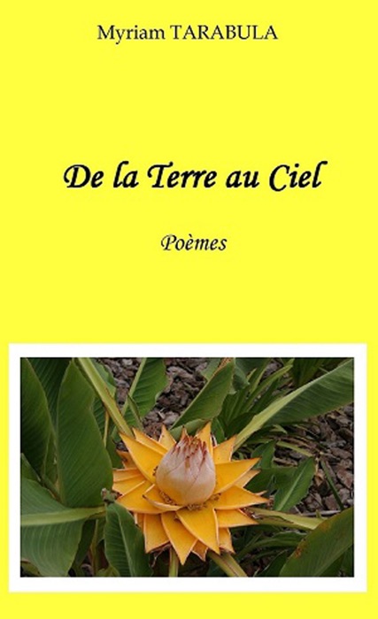 De la terre au ciel