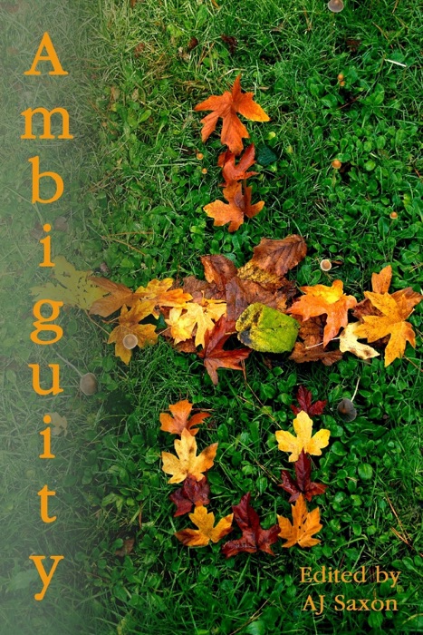 Ambiguity