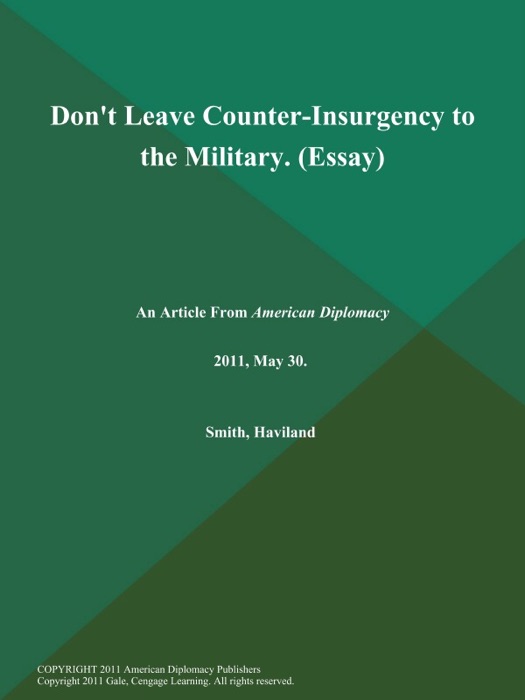 Don't Leave Counter-Insurgency to the Military (Essay)