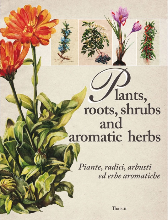 Aromatic Herbs