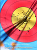 The Long Term Development Program - SA National Archery Association