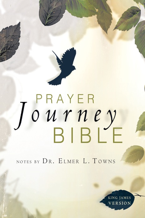 Prayer Journey Bible