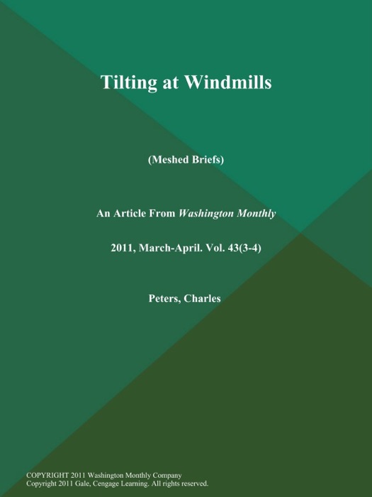 Tilting at Windmills (Meshed Briefs)