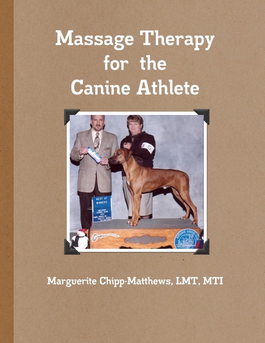 Massage Therapy for the Canine Athlete