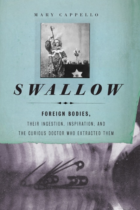 Swallow