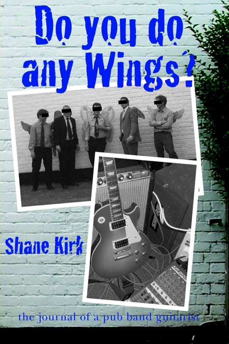 Do You Do Any Wings!