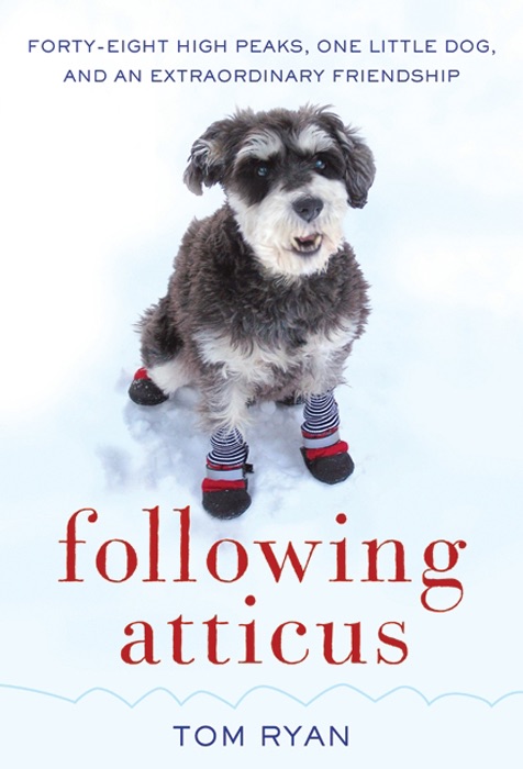 Following Atticus