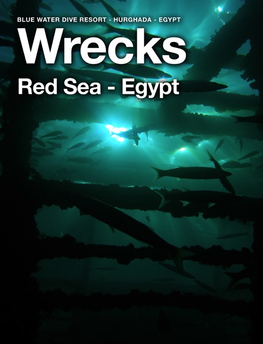 Wrecks Red Sea