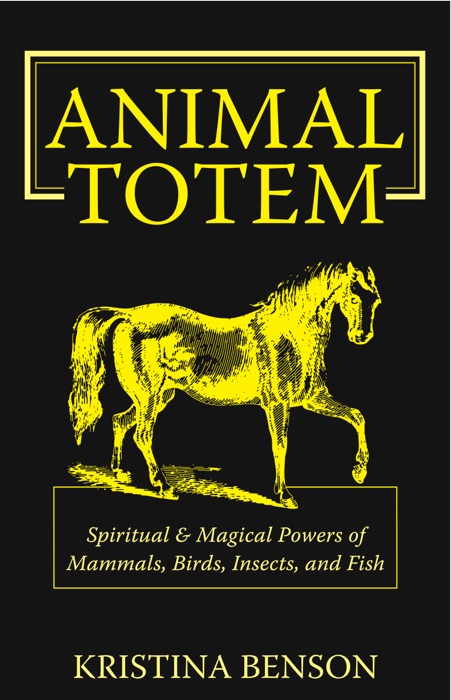 Animal Totem Guide 2nd Edition: The Spiritual Magical Powers of Mammals, Birds, Insects, & Fish