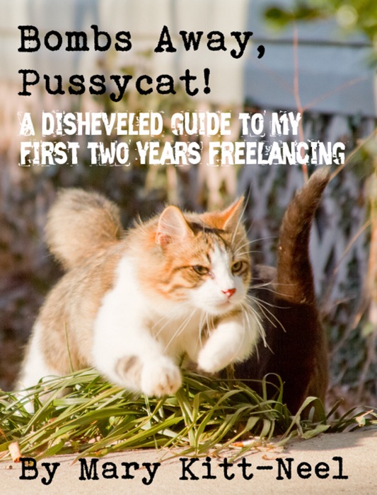 Bombs Away, Pussycat! A disheveled guide to my first two years freelancing