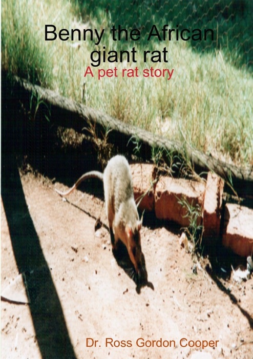 Benny the African Giant Rat