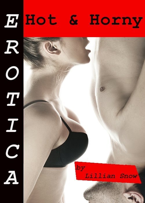 Erotica: Hot & Horny, Story Taster