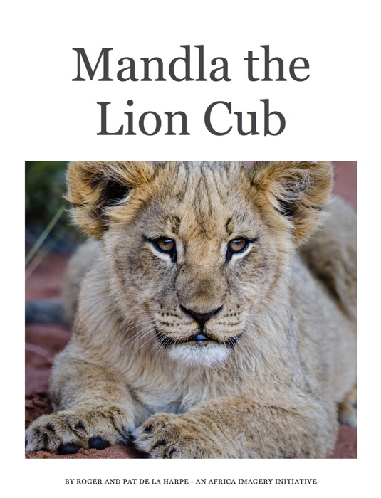 Mandla the Lion Cub