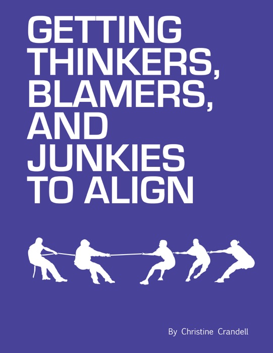 Getting Thinkers, Blamers and Junkies to Align