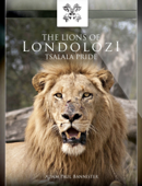 The Lions of Londolozi - Adam Bannister