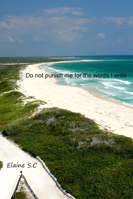 Do Not Punish Me for the Words I Write