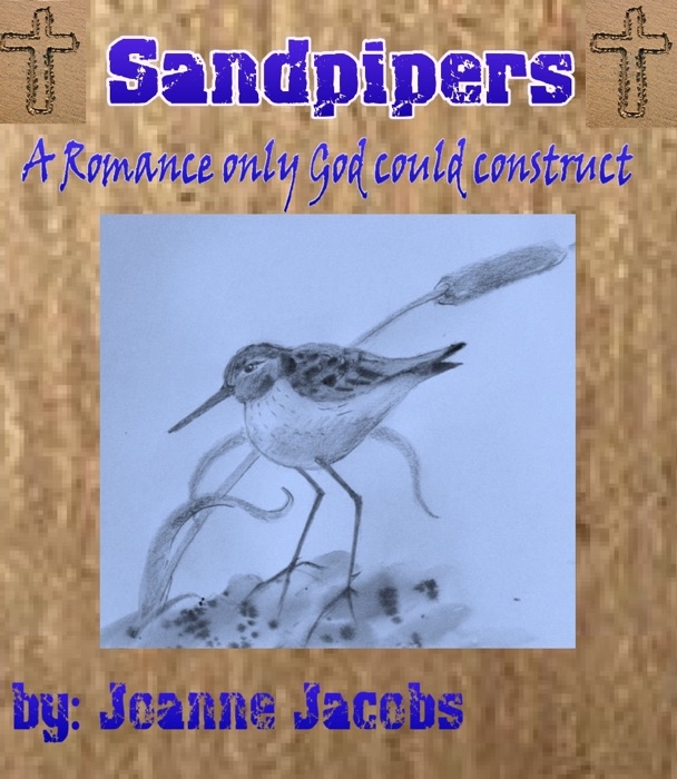 Sandpiper