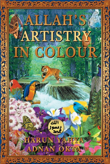 Allah’s Artistry in Color