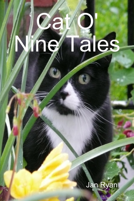 Cat O' Nine Tales