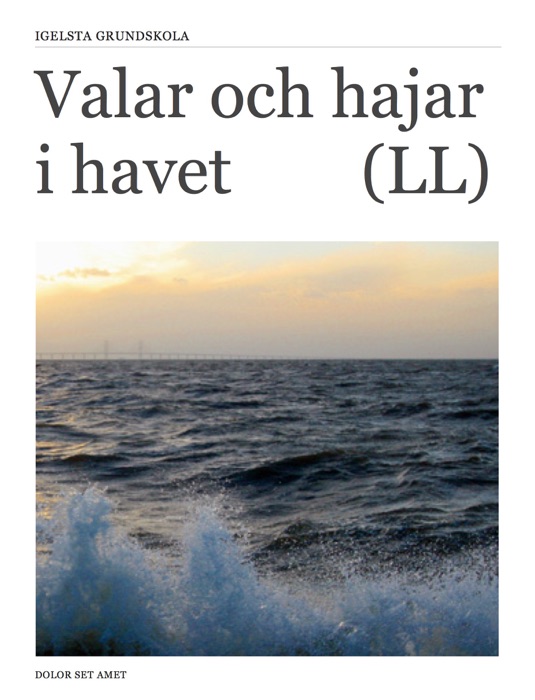 Valar och hajar i havet  LL