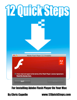 Installing Adobe Flash Player on Your Mac - Chris Capelle