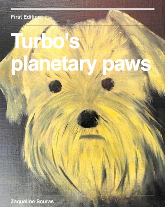 Turbo's planetary paws