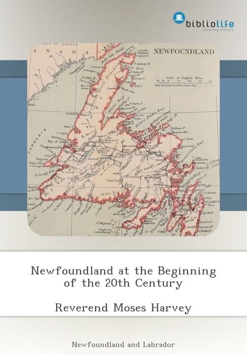 Newfoundland at the Beginning of the 20th Century