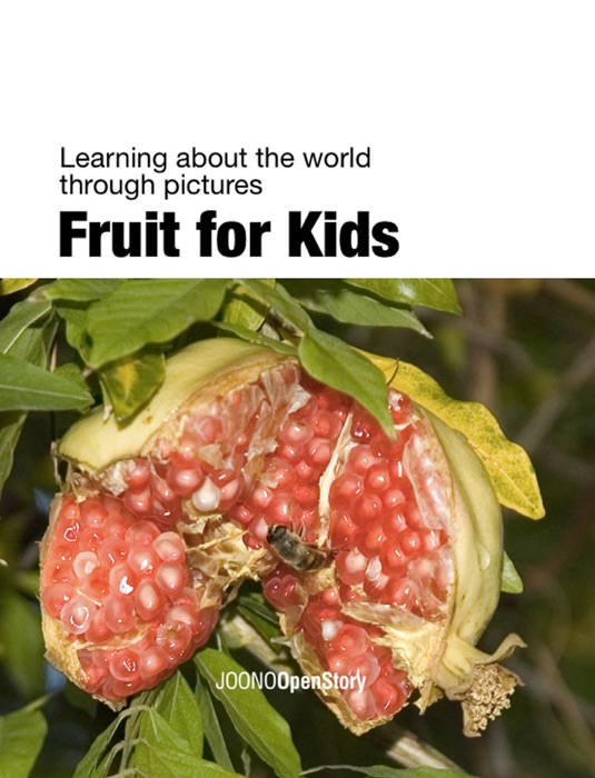 Fruit for Kids