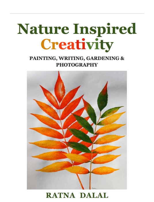 Nature Inspired Creativity