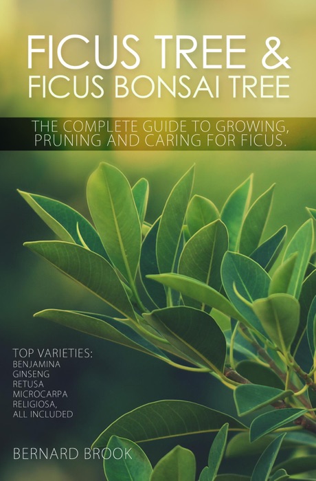 Ficus Tree and Ficus Bonsai Tree. The Complete Guide to Growing, Pruning and Caring for Ficus