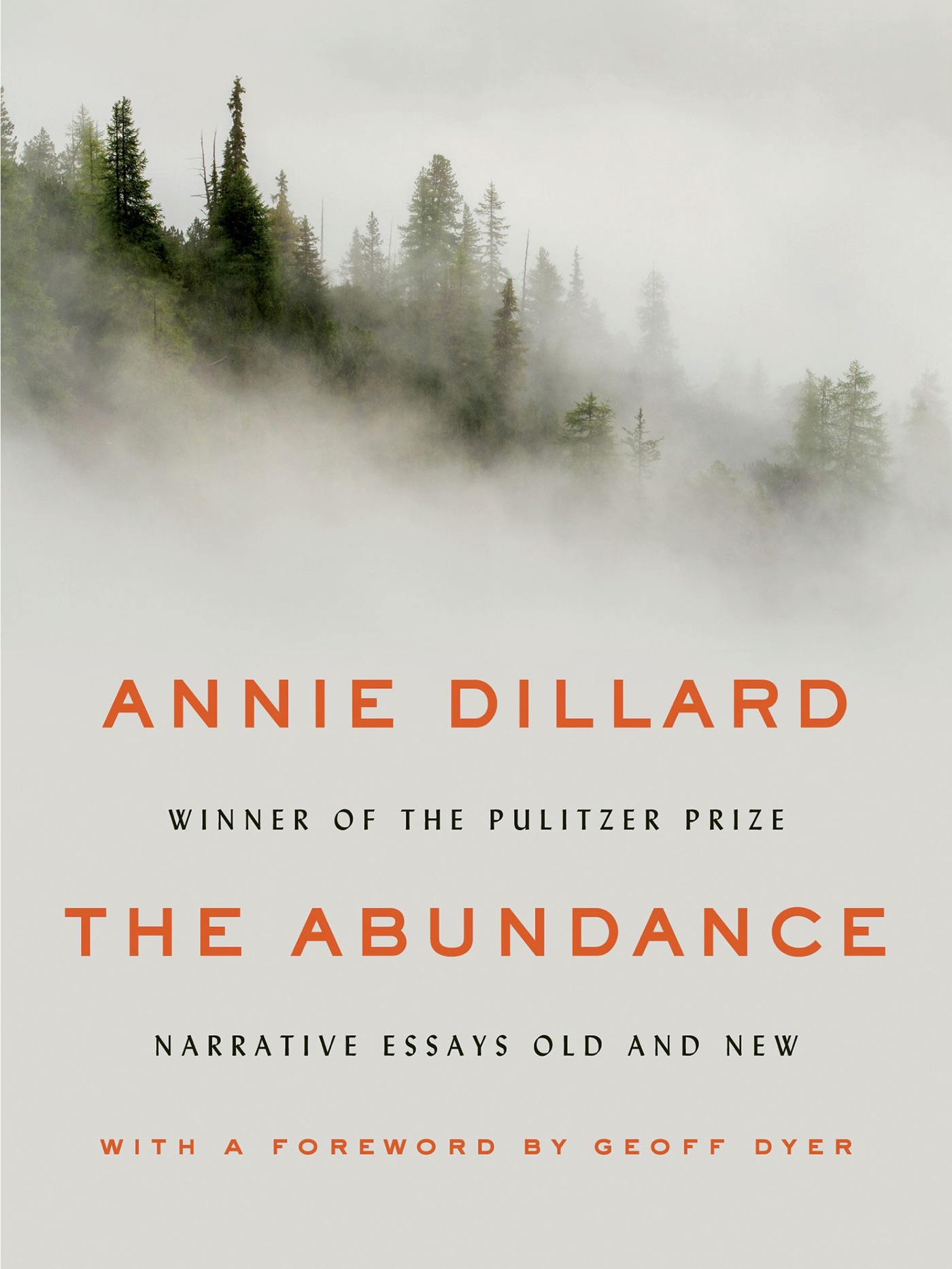 Cover of The Abundance