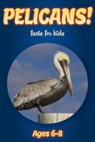 Facts About Pelicans For Kids 6-8