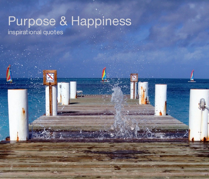 Purpose & Happiness