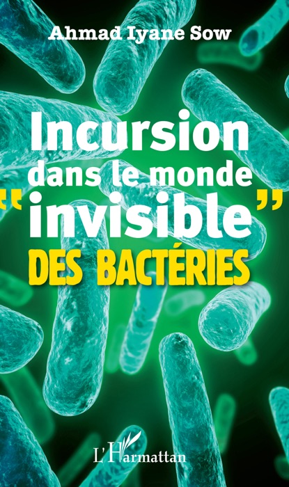 Incursion dans le monde “invisible” des bactéries