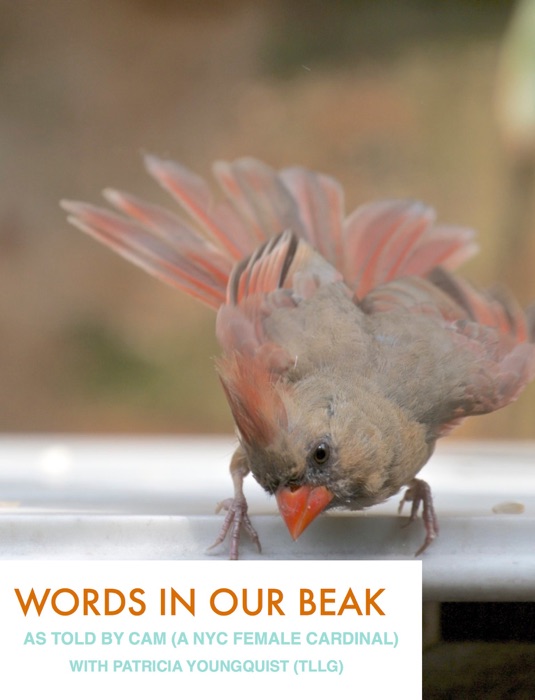 Words In Our Beak