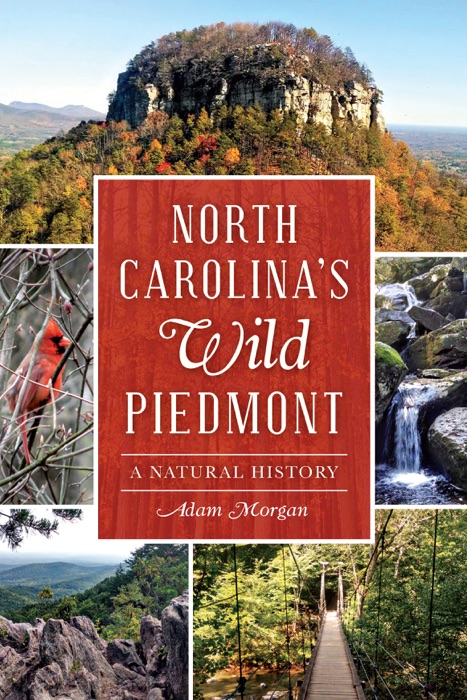 North Carolina’s Wild Piedmont