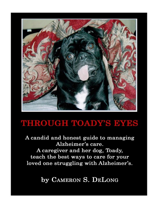 Through Toady's Eyes
