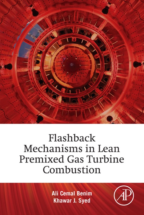 Flashback Mechanisms in Lean Premixed Gas Turbine Combustion (Enhanced Edition)