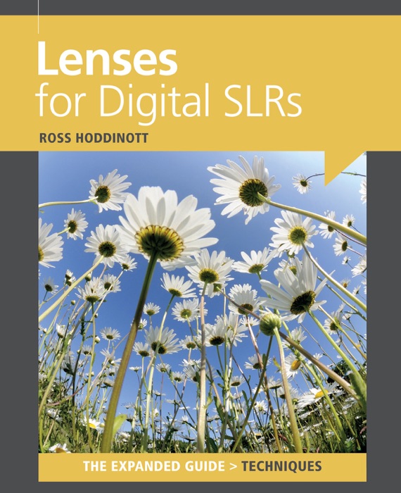 Lenses for Digital SLRs