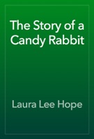 The Story of a Candy Rabbit