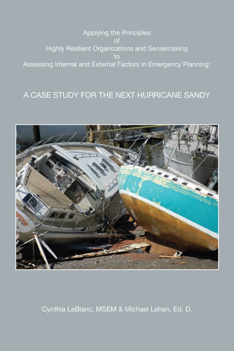 Applying the Principles of Highly Reslient Organizations and Sensemaking to Assessing Internal and External Factors in Emergency Planning: A Case Study for the Next Hurricane Sandy
