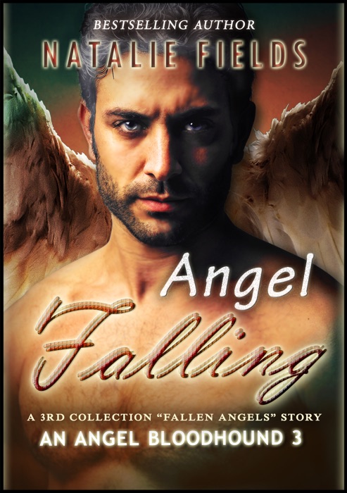 Falling Again: An Angel Bloodhound 3