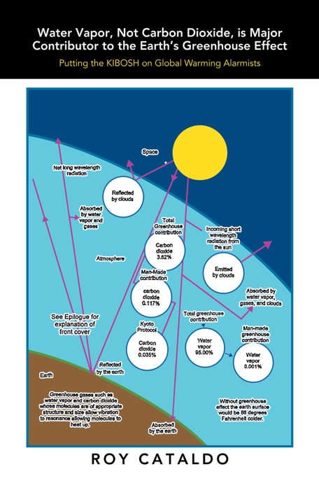 Water Vapor, Not Carbon Dioxide, Is Major Contributor to the Earth's Greenhouse Effect